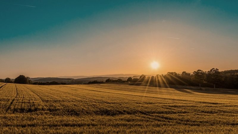 Chauffeur Day Trip From London to Stonehenge — P5 Chauffeurs journal